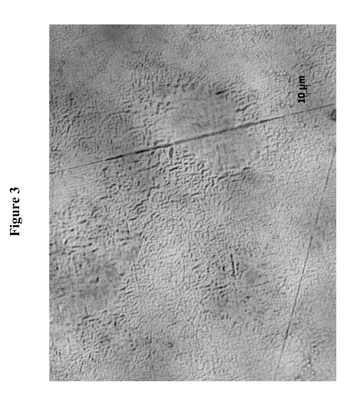 Polymeric topical antiseptic compound and method of use