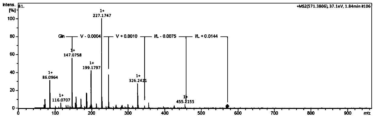 Preparation method and application of strong-flavor peptide in soy sauce