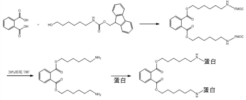 Synthetic method of general artificial antigen of phthalate plasticizers for immunodetection