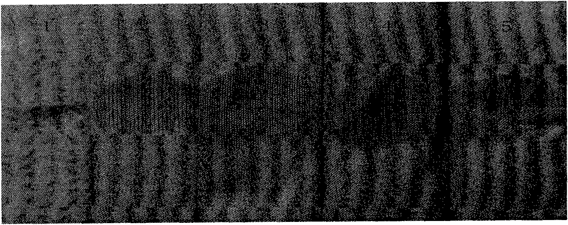 Woven fabric having functions of isomerism on double side, guiding sweat on single direction and rapidly drying and production method thereof