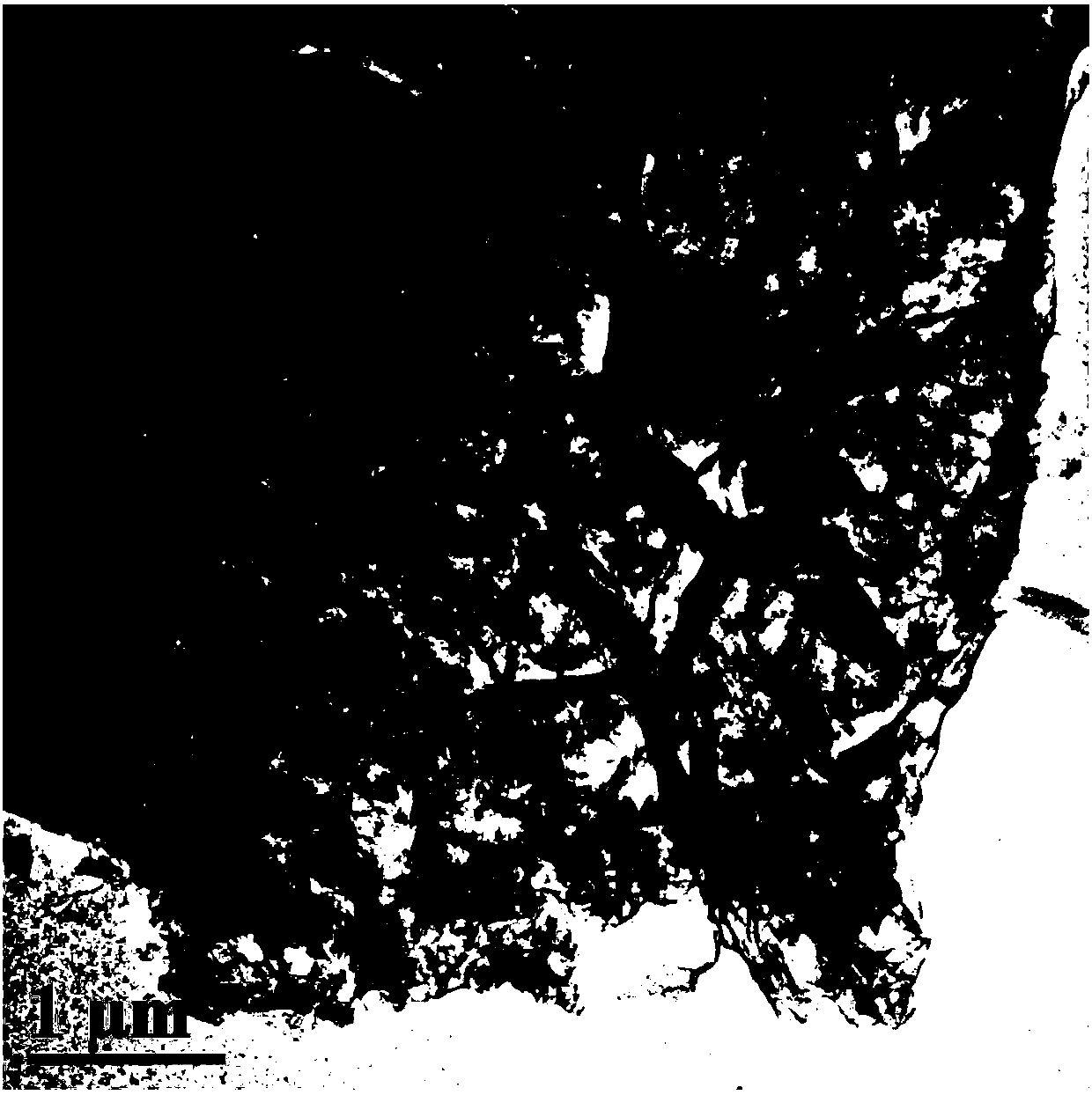 Method for large-scale preparation of graphene