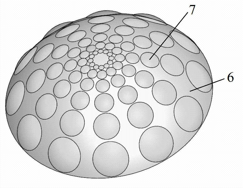 Wide view field logarithm pole coordinating mapping imaging method based on curve surface lens array