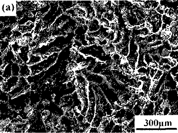 Composite bone material capable of being injected and preparation method thereof