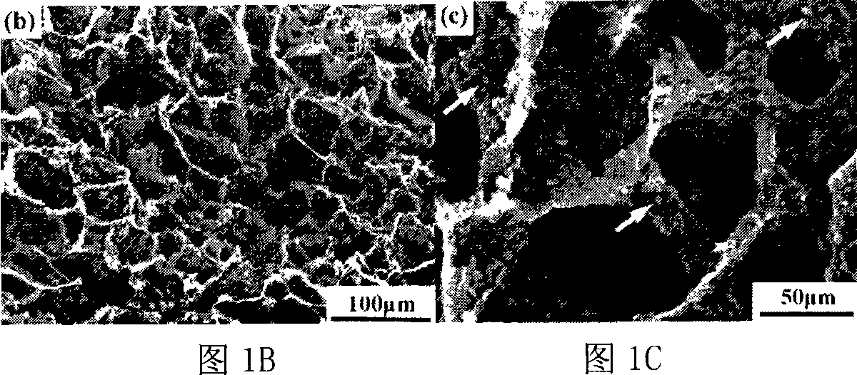 Composite bone material capable of being injected and preparation method thereof