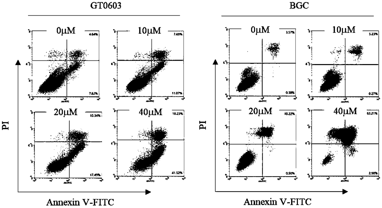 Novel cancer stem cell killing agent for gastric cancer and application thereof