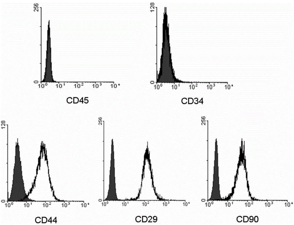 Preparation for mobilizing mesenchymal stem cells and method for separating mesenchymal stem cells