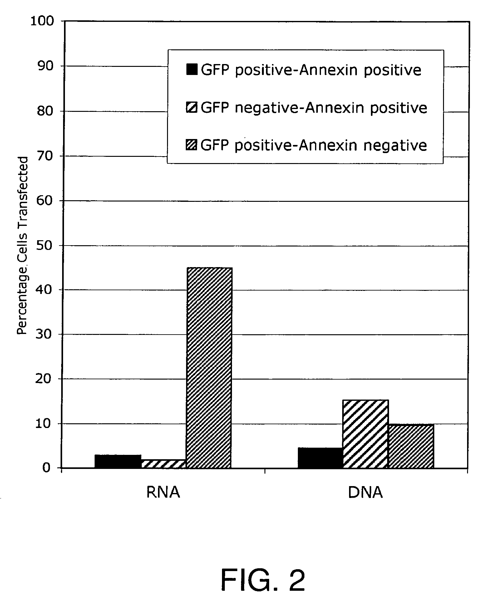 Methods and models for rapid, widespread delivery of genetic material to the CNS using non-viral, cationic lipid-mediated vectors