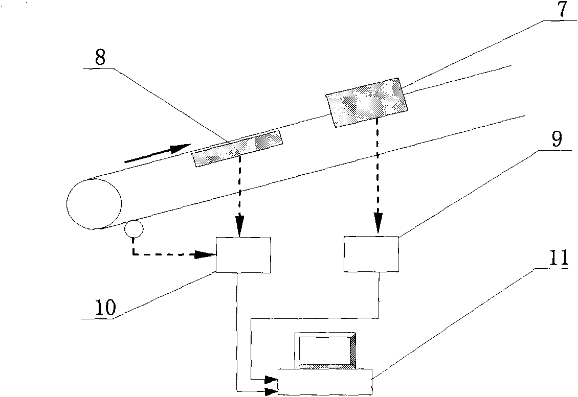 Device and method for dynamically detecting magnetic iron content in iron ores