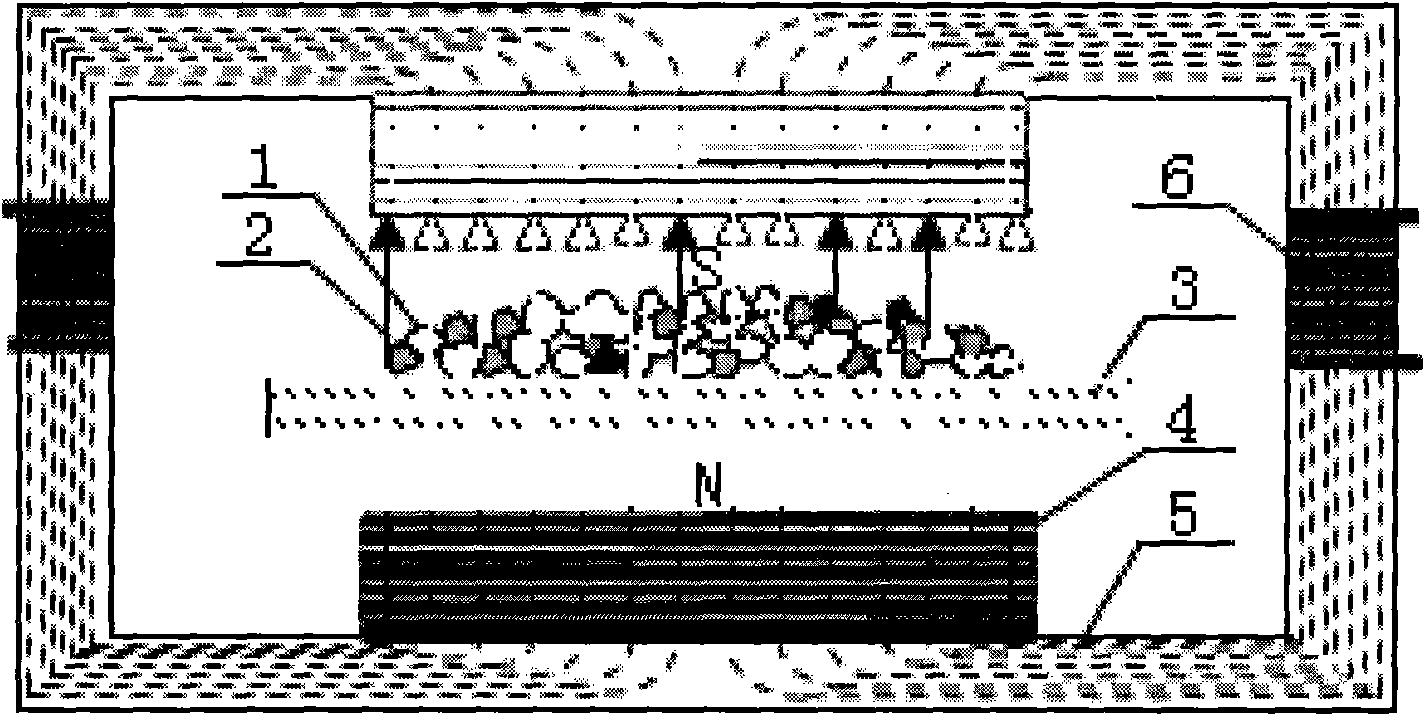 Device and method for dynamically detecting magnetic iron content in iron ores