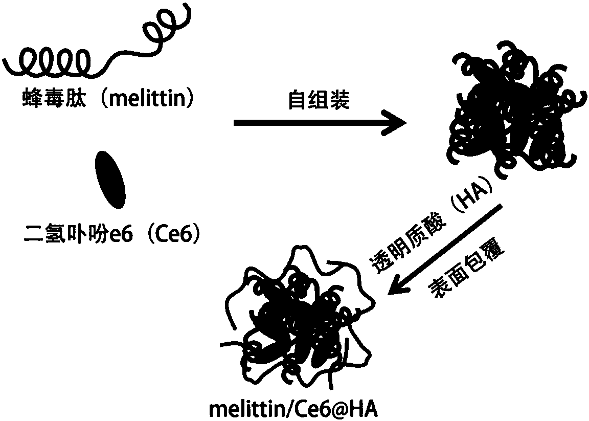 Nano reagent based on melittin and preparation method and application thereof