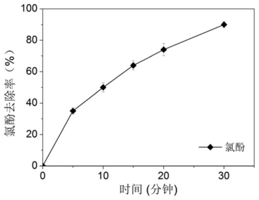 Catalyst for activating persulfate and application of catalyzing persulfate to remove pollutants