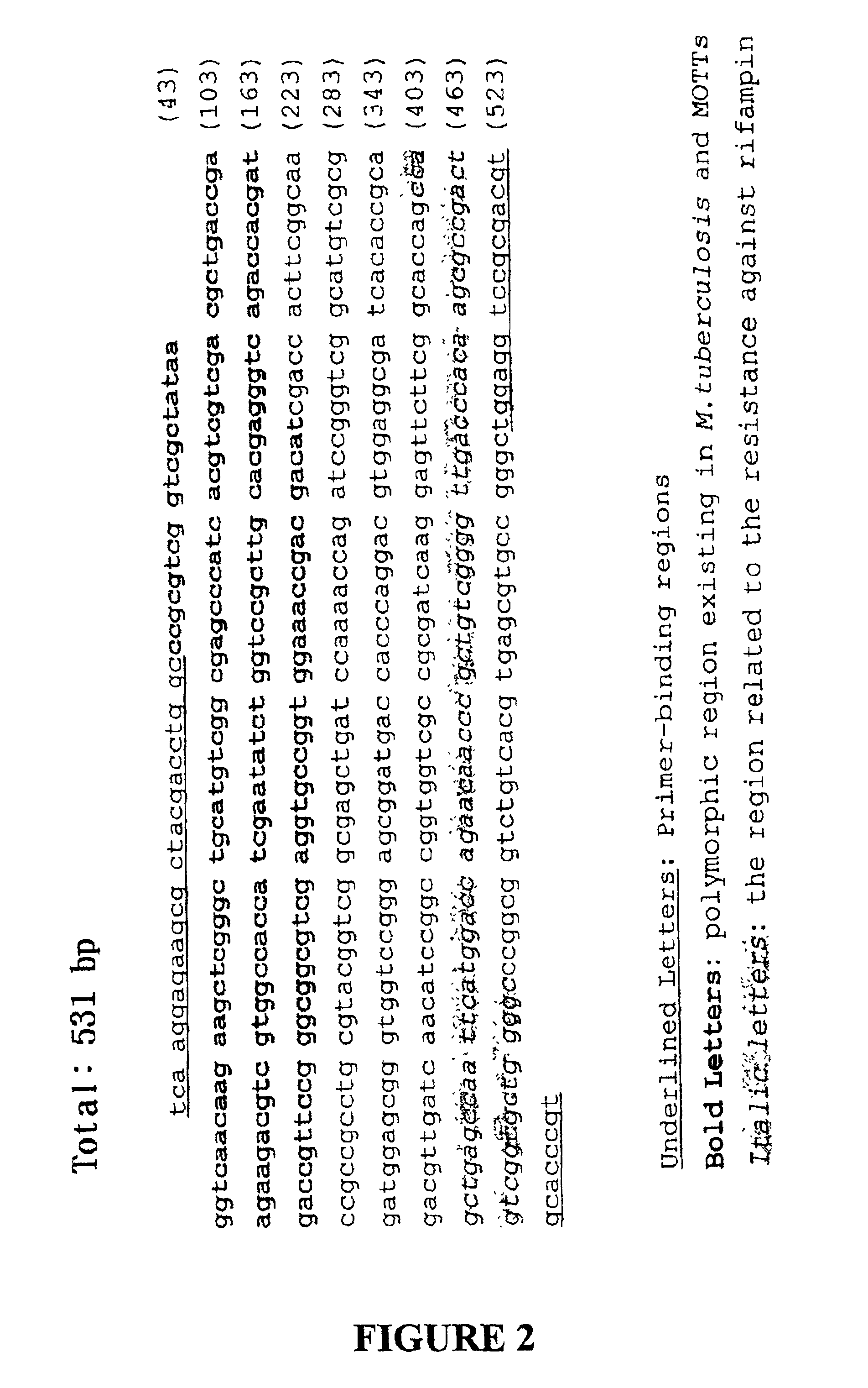 Method for identifying mycobacterium tuberculosis and mycobacteria other than tuberculosis, together with detecting resistance to an antituberculosis drug of mycobacteria obtained by mutation of rpob gene