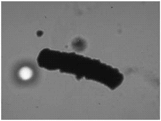 Preparation method of high conductivity graphene