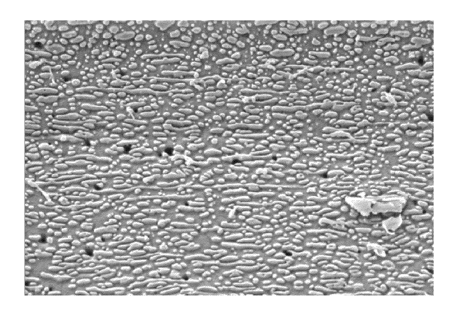 Biodegradable blends and films having nano-structural features