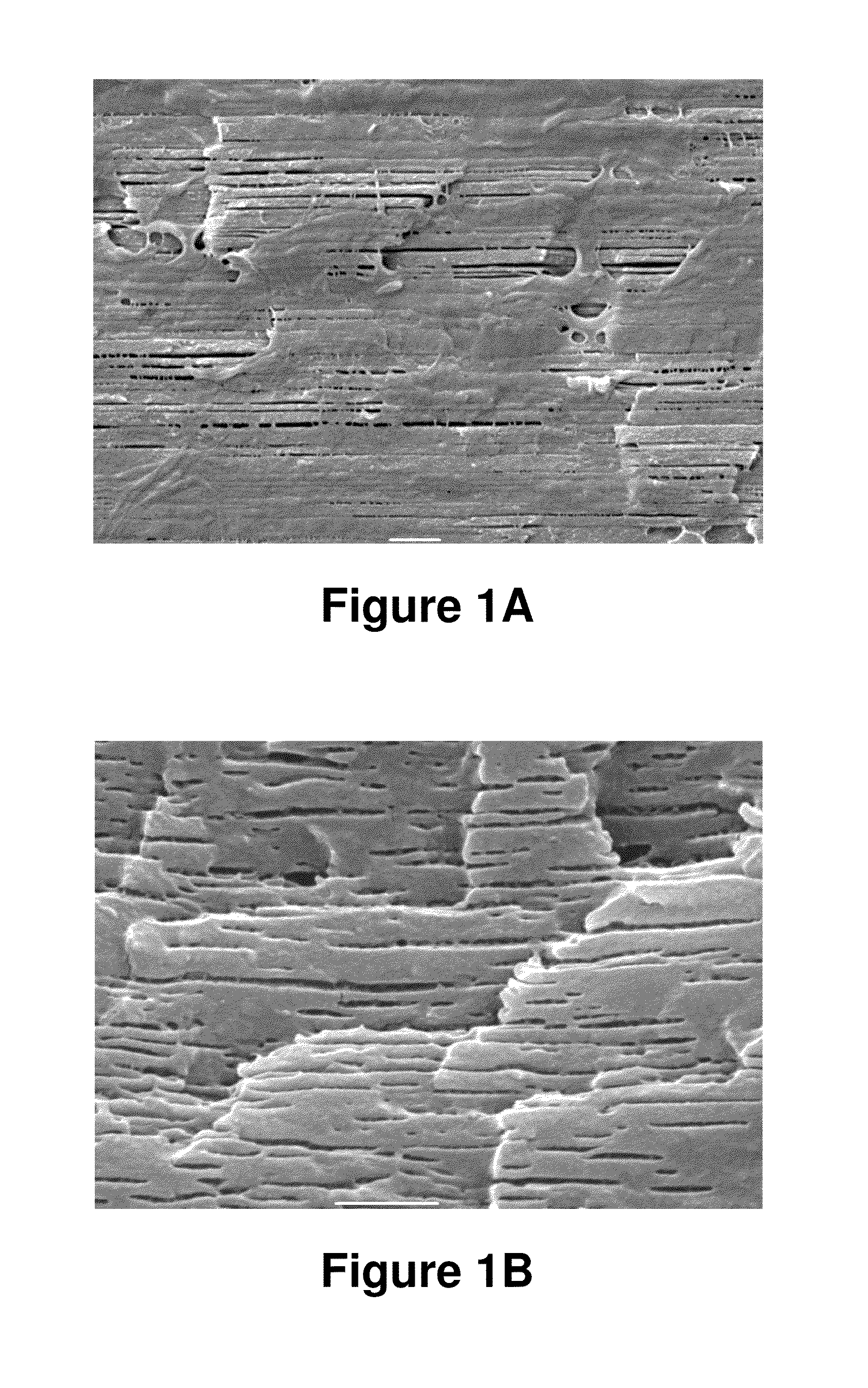 Biodegradable blends and films having nano-structural features