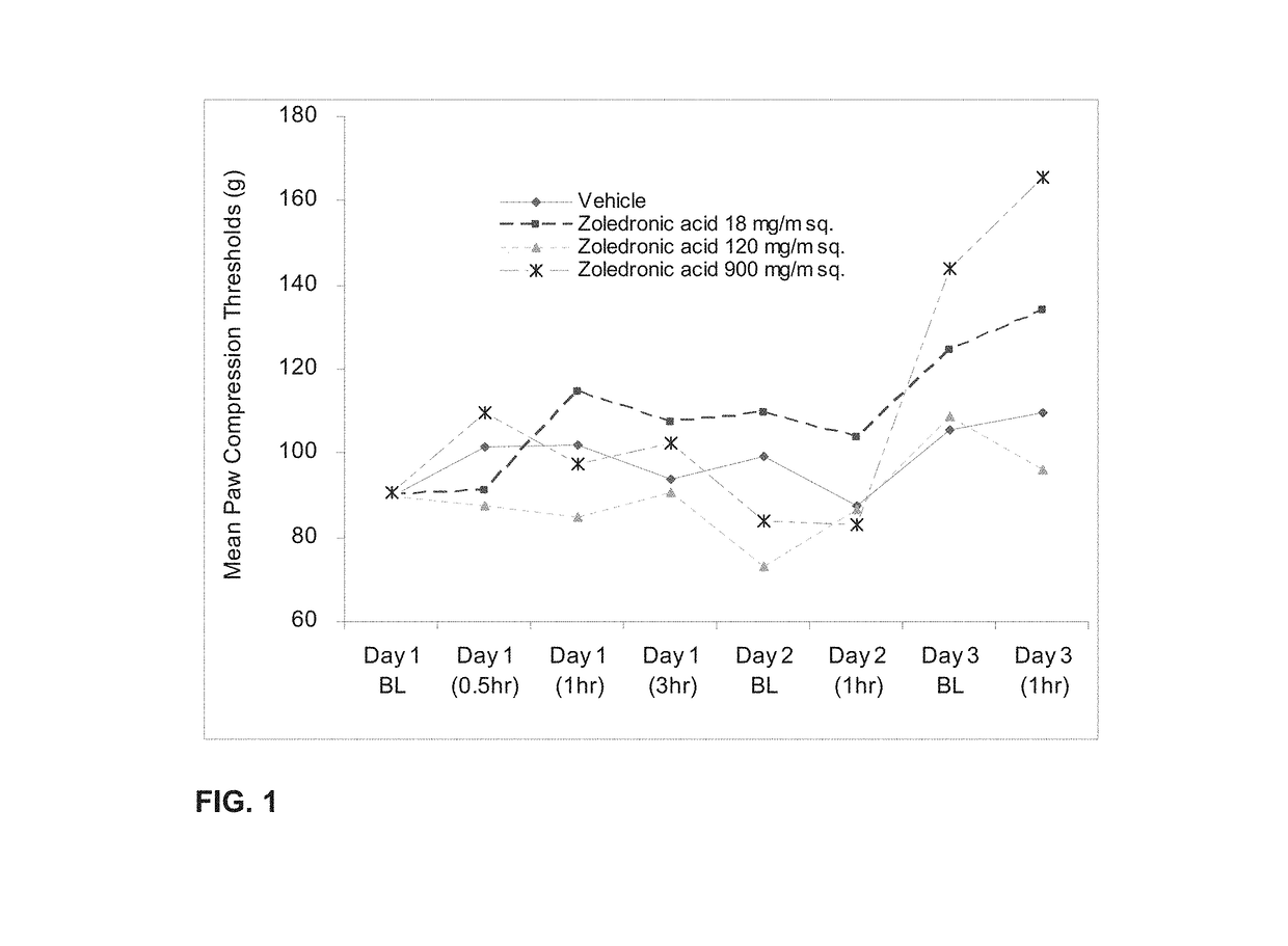 Osteoclast Inhibitors Such as Zoledronic Acid for Low Back Pain Treatment