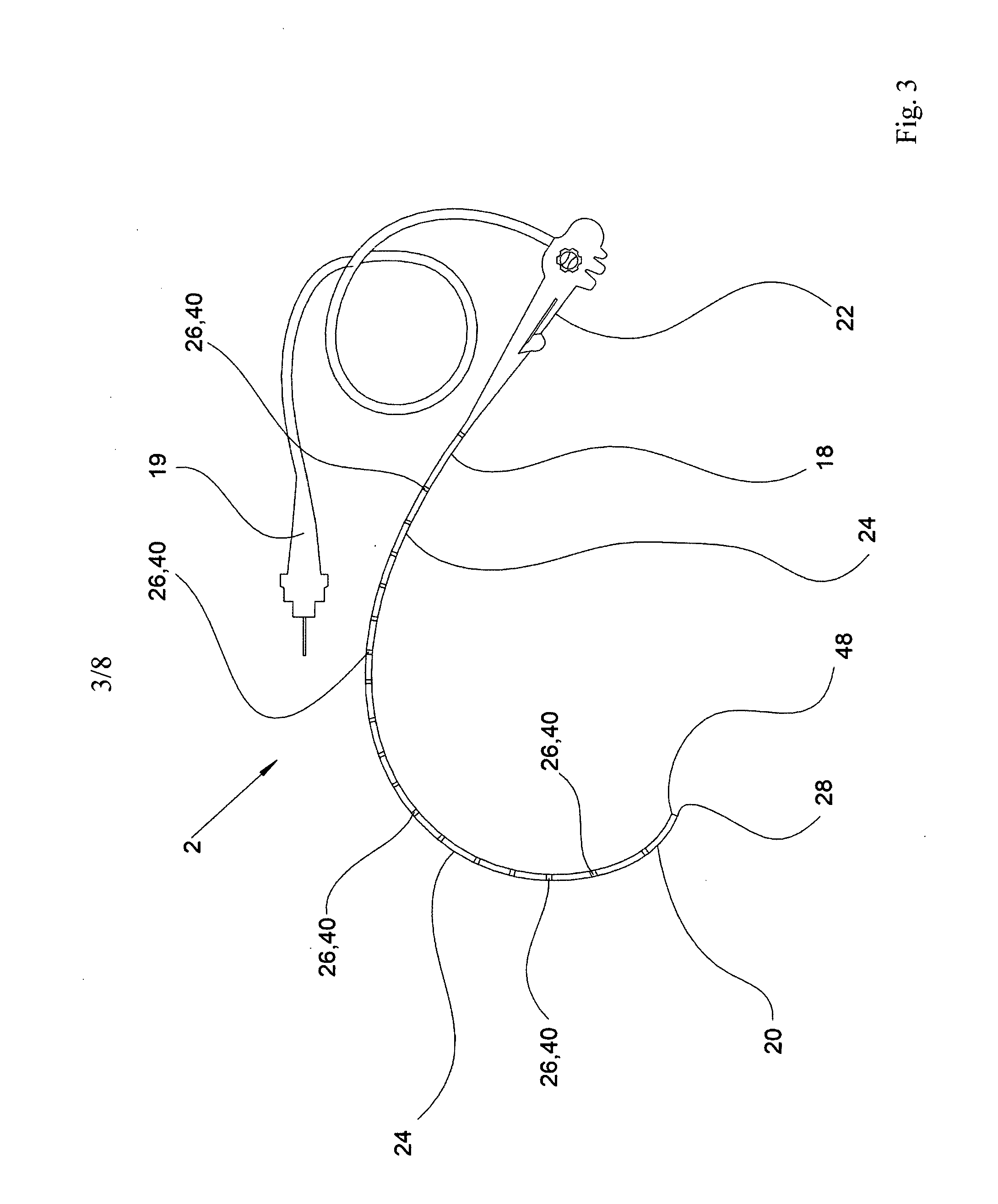 An apparatus for endoscopy