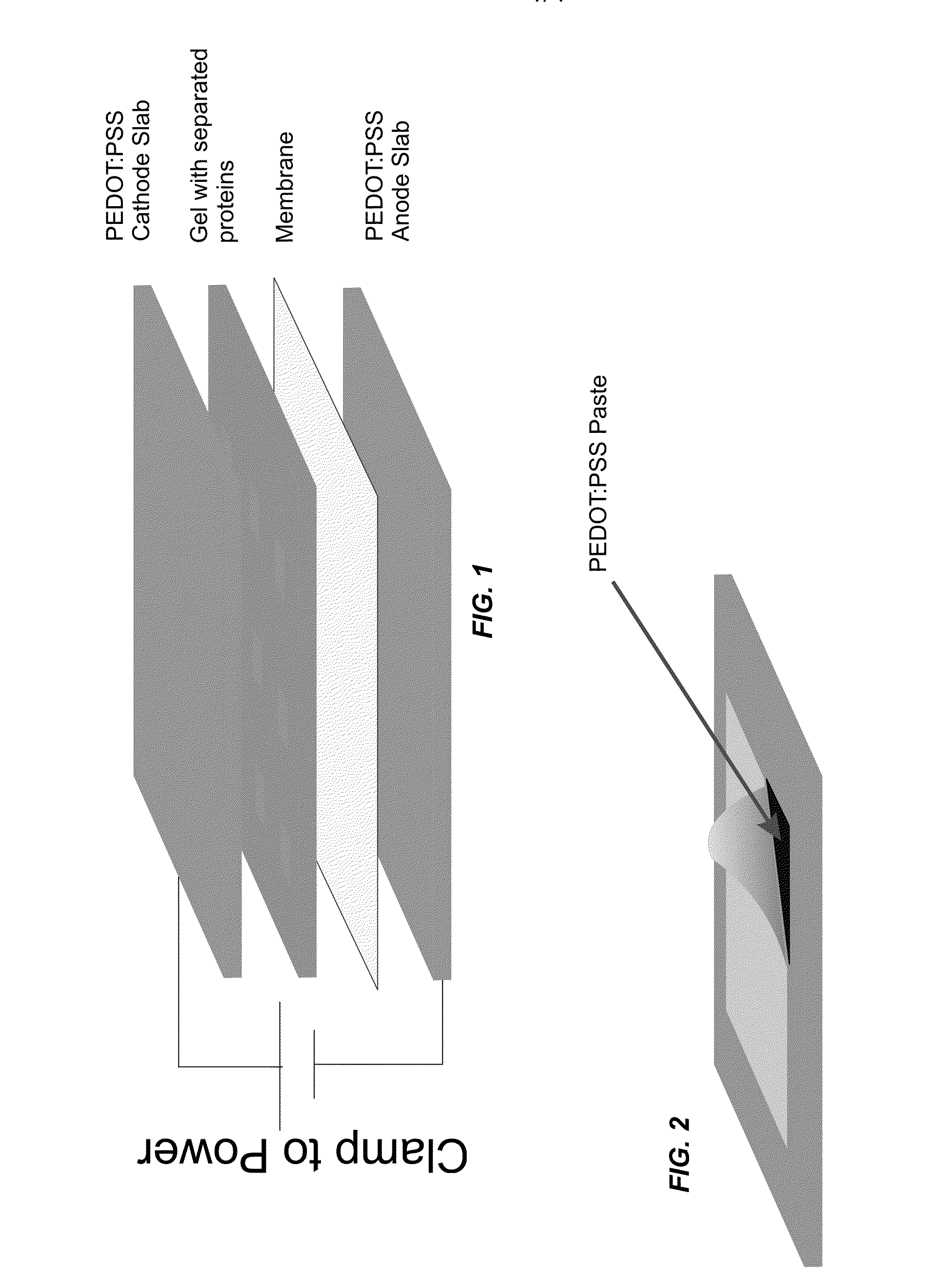 Dry protein transfer