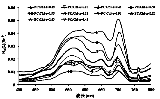 Lake water body blue-green algae abundance estimation method based on remote sensing