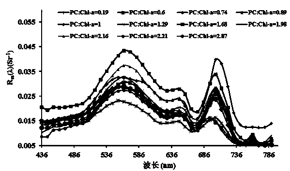 Lake water body blue-green algae abundance estimation method based on remote sensing