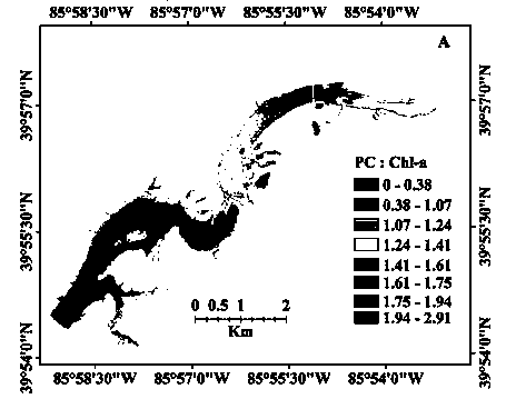 Lake water body blue-green algae abundance estimation method based on remote sensing