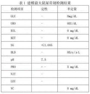 Construction method of doxorubicin nephropathy animal model