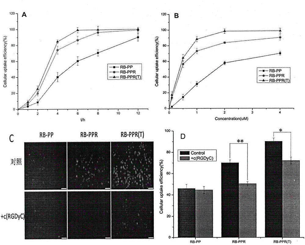 Targeting posterior segment eye drug delivery system, preparation thereof and preparation method of preparation