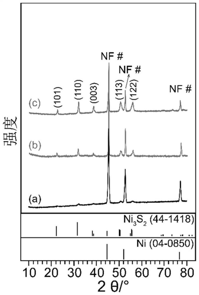 Oxygen-deficient molybdenum oxide/nickel sulfide/foamed nickel electrocatalyst and preparation method thereof