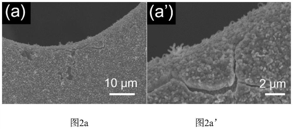 Oxygen-deficient molybdenum oxide/nickel sulfide/foamed nickel electrocatalyst and preparation method thereof