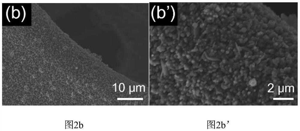 Oxygen-deficient molybdenum oxide/nickel sulfide/foamed nickel electrocatalyst and preparation method thereof