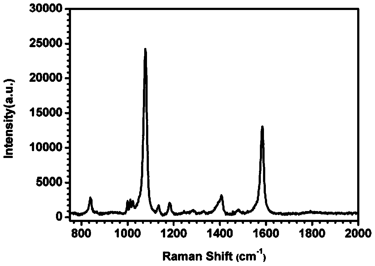 SERS substrate loaded with noble metal nanoclusters with 3D network structure and preparation method