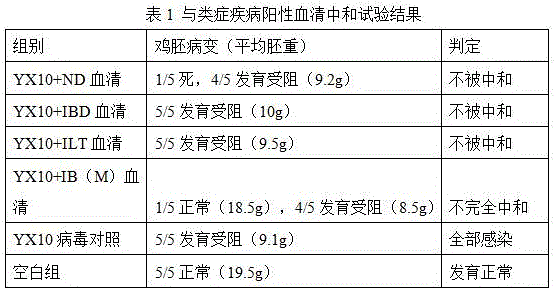 Infectious bronchitis low-virulent live vaccine YX10 D90 strain