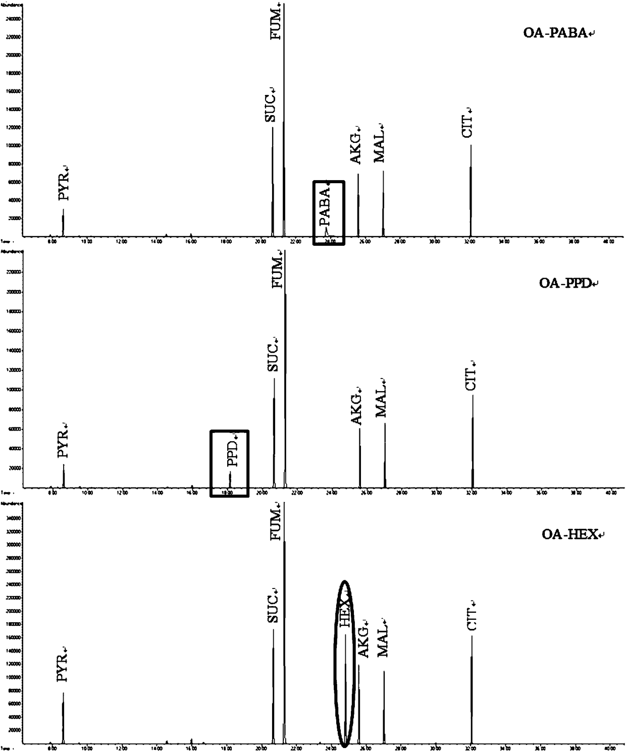 Novel internal standard substance for detecting amino acid, organic acid or sugar phosphate metabolite in sample