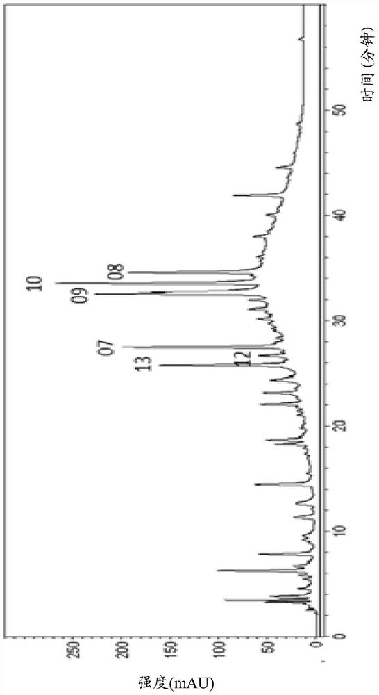 Use of compound and composition thereof for preparation of medicine for alleviating inflammation activity of lung cells