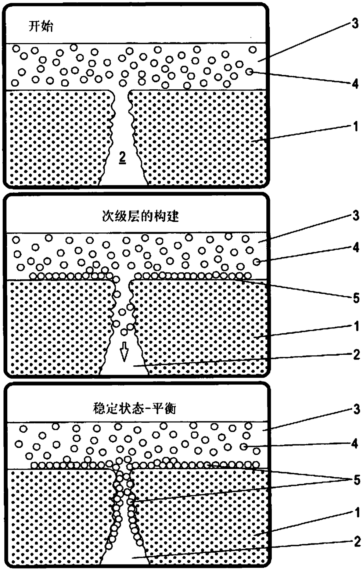 Dialysis device having a control unit for performing conditioning of the dialysis membrane