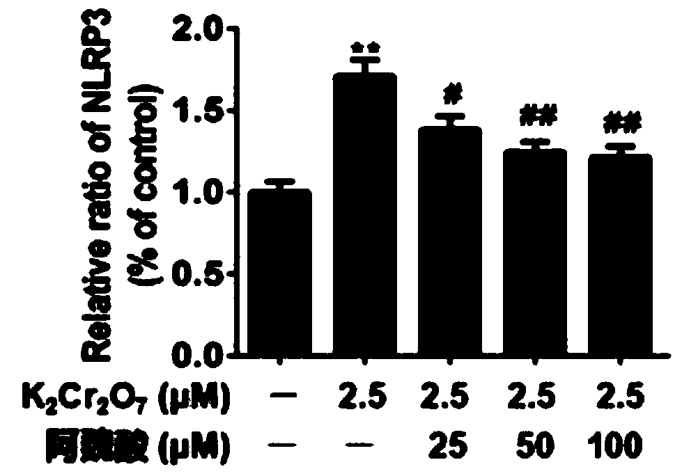 Application of ferulic acid in preparation of medicine for inhibiting chromium-induced lung inflammatory injury