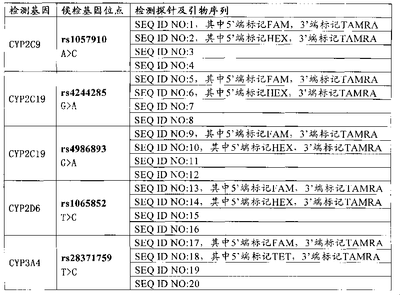 Medicine metabolic relevant loci detection method