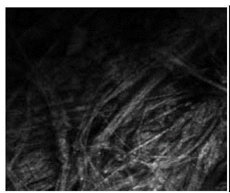 Tissue optical clearing agent and application thereof