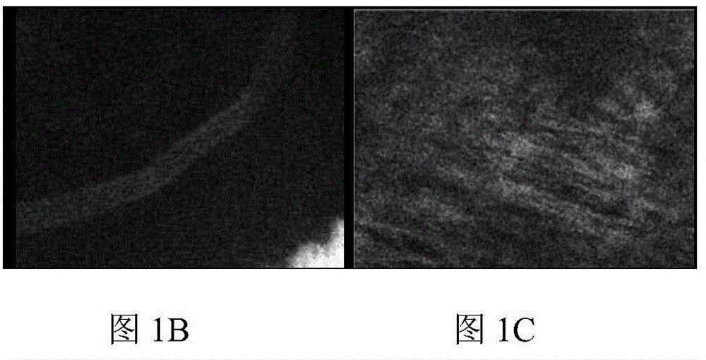 Tissue optical clearing agent and application thereof