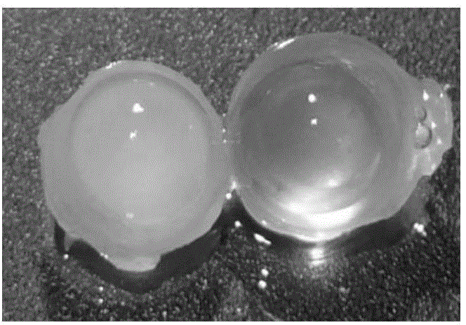 Tissue optical clearing agent and application thereof