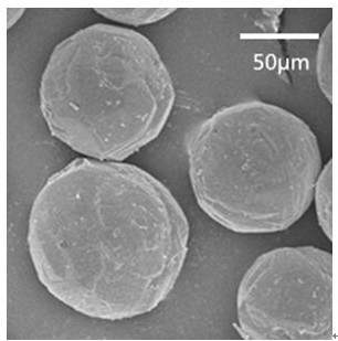 A kind of large-size analcime and its synthesis method