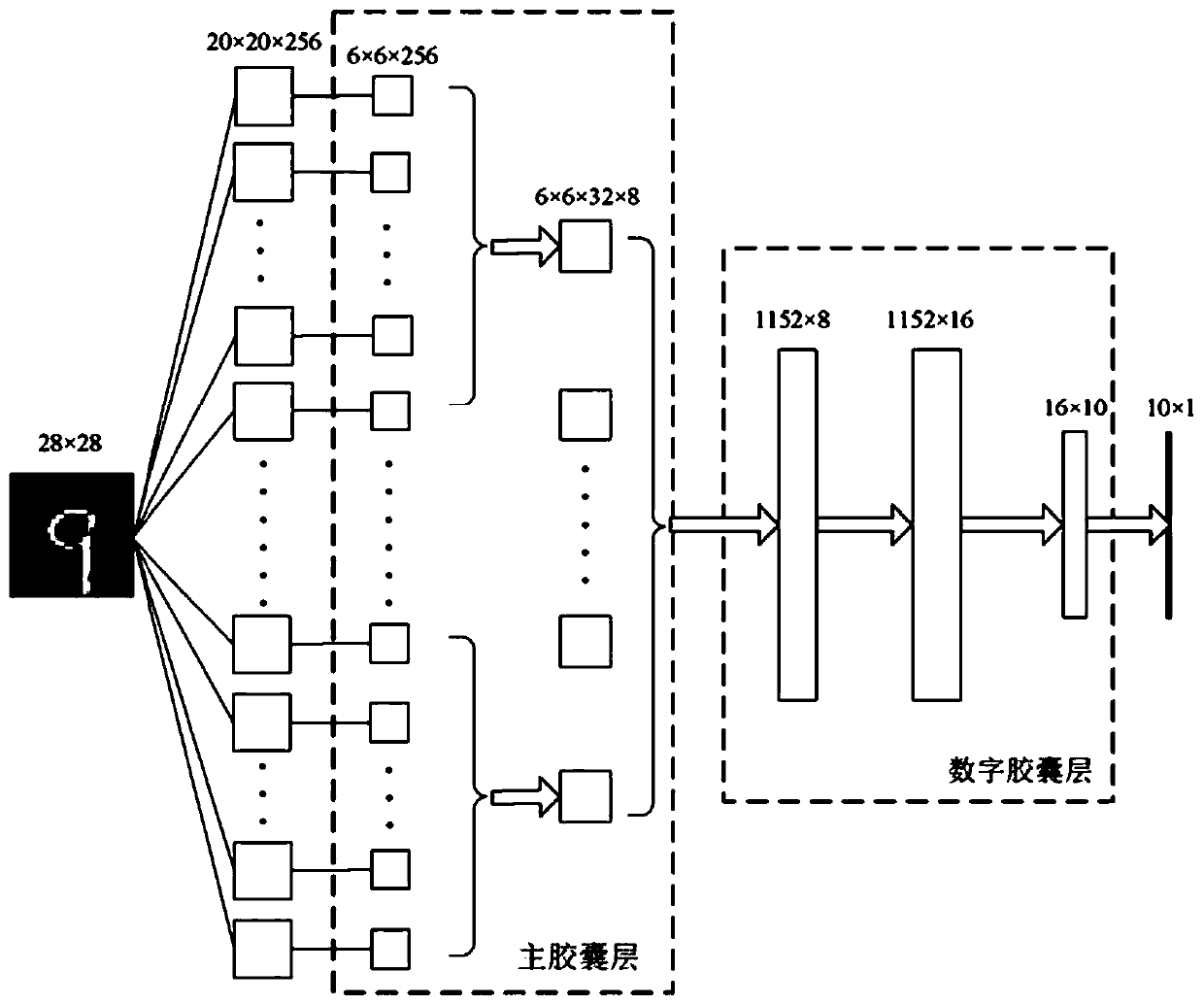 Forest fire identification method and device based on interpolated CN and capsule network