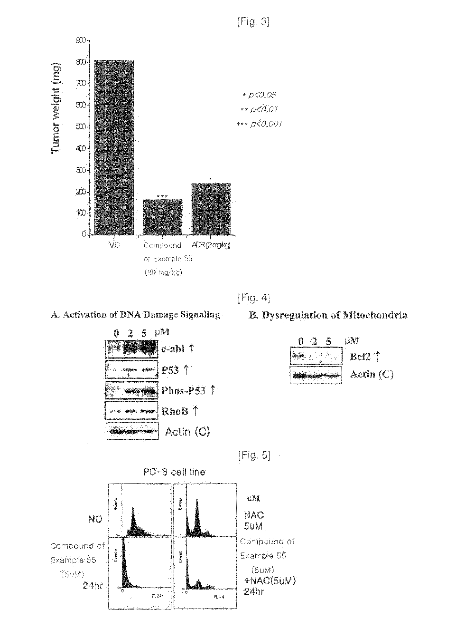 Heterocyclic compounds containing nitrogen atoms or pharmaceutically acceptable salts thereof, process for the preparation thereof and pharmaceutical composition comprising the same for treatment of cancer