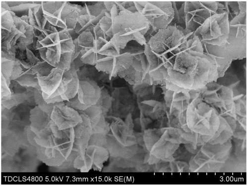 A co-o high-efficiency composite hydrogen evolution electrode covered on co-mo-o and its preparation method