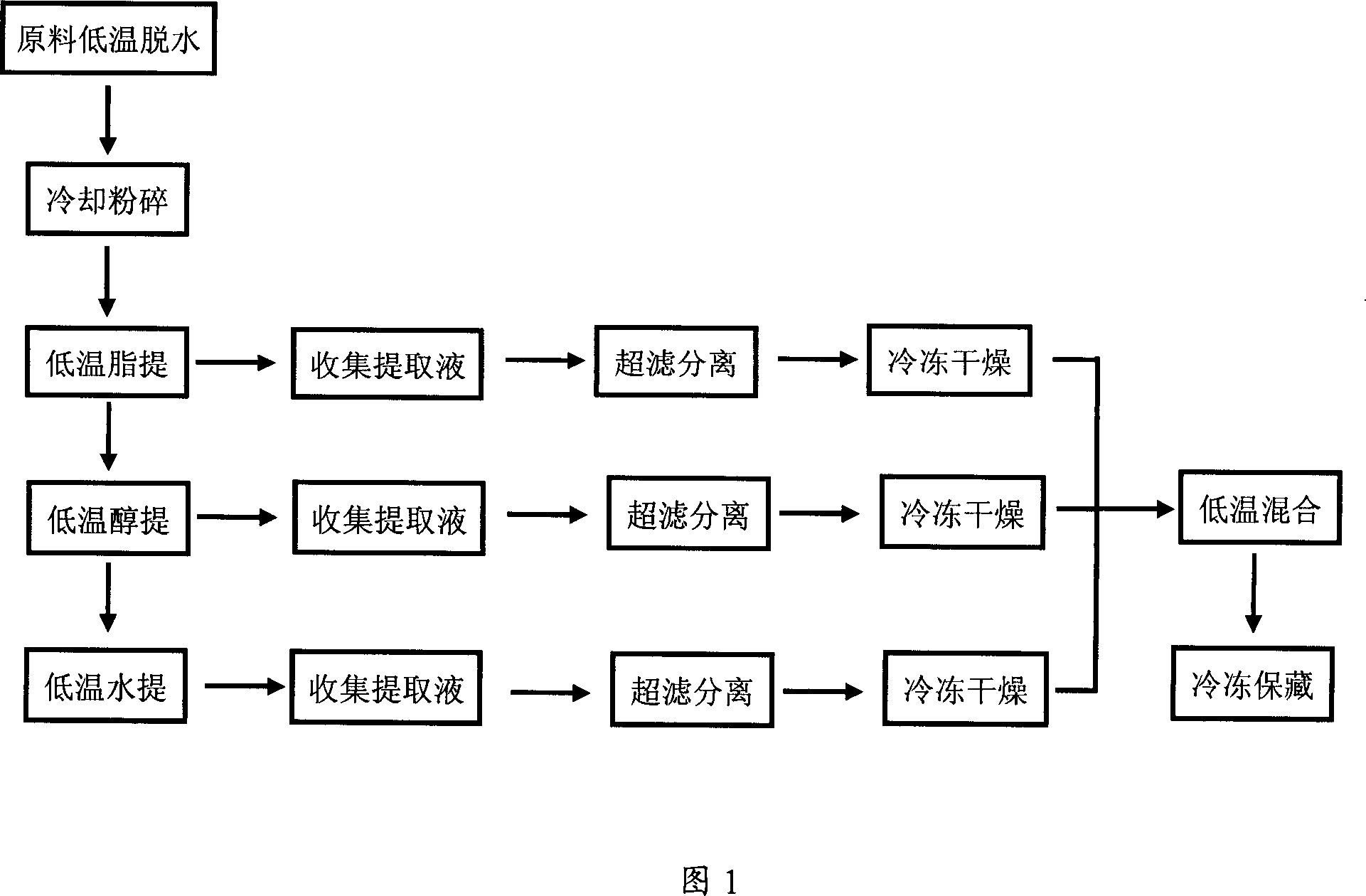 Extraction method for primary active matter of edible fungi