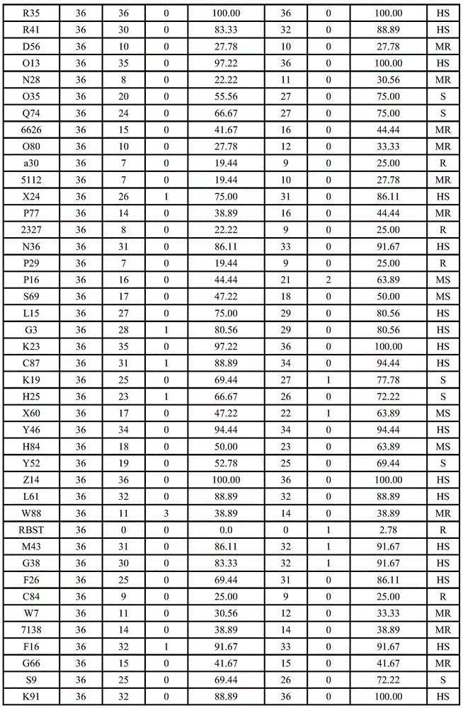 Tobacco black shank resistance single plant identification method