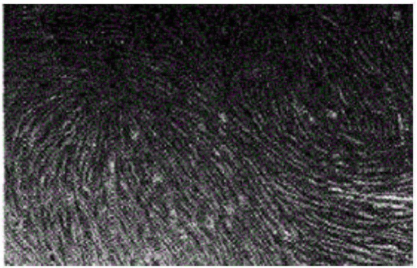 Method for carrying out in-vitro large-scale culture on umbilical cord mesenchymal stem cells