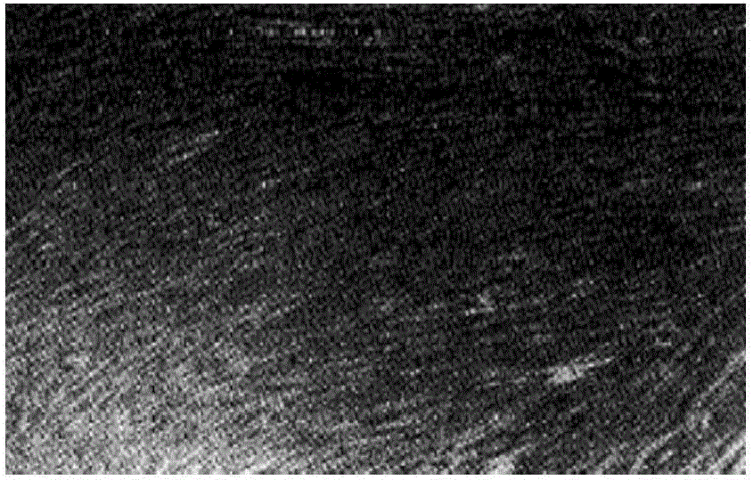 Method for carrying out in-vitro large-scale culture on umbilical cord mesenchymal stem cells