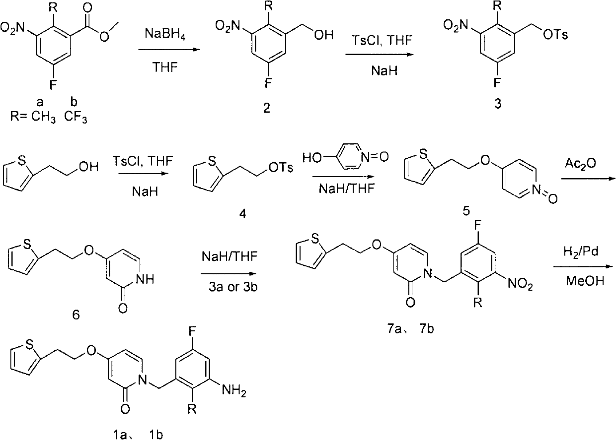 A New Antibacterial Compound Containing Fluorine