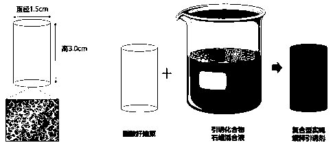 Compound type slow-release trypetid attractant and preparation method thereof